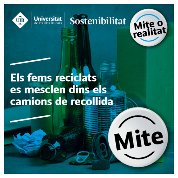 mite1