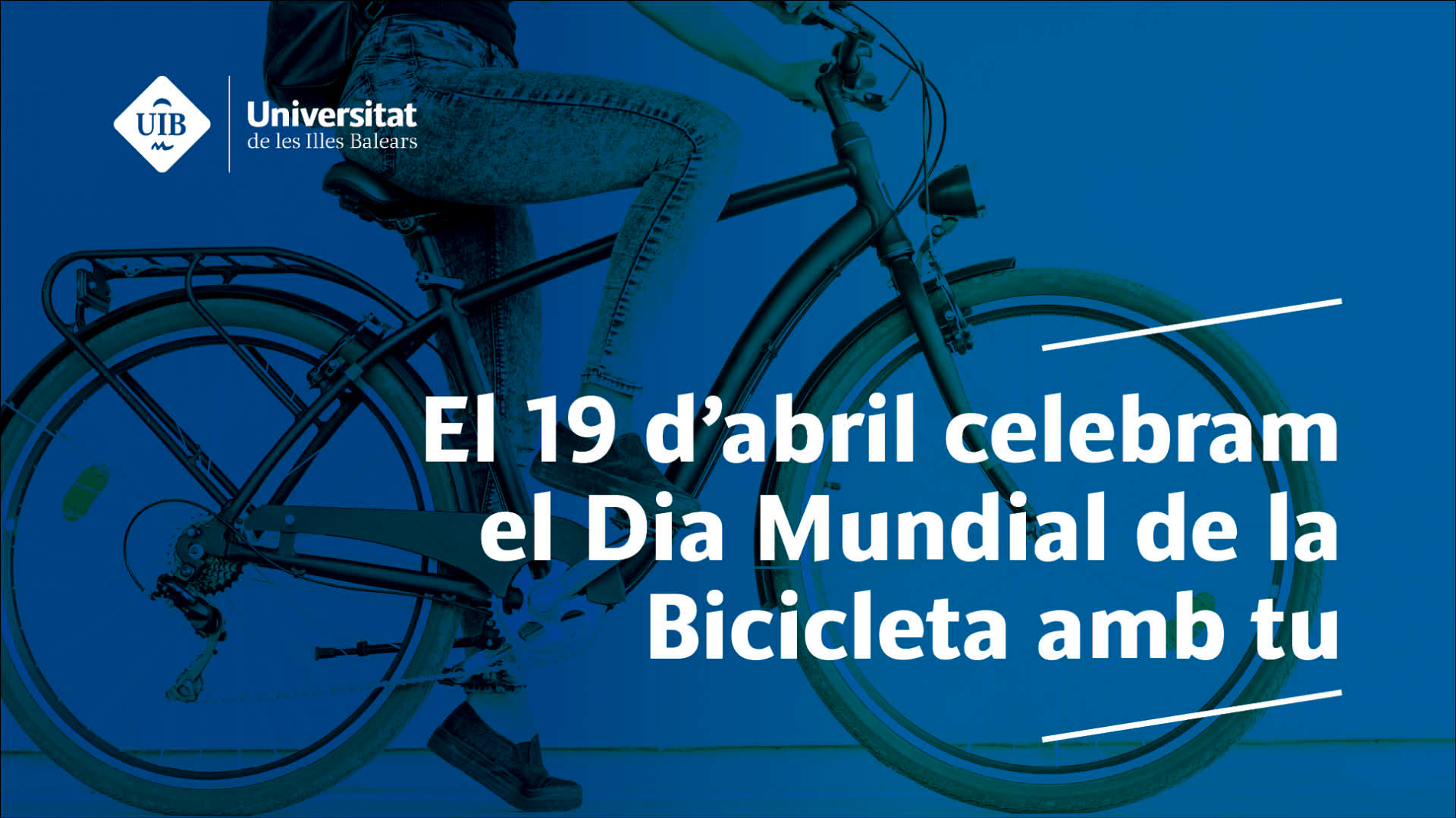 dia mundial bici