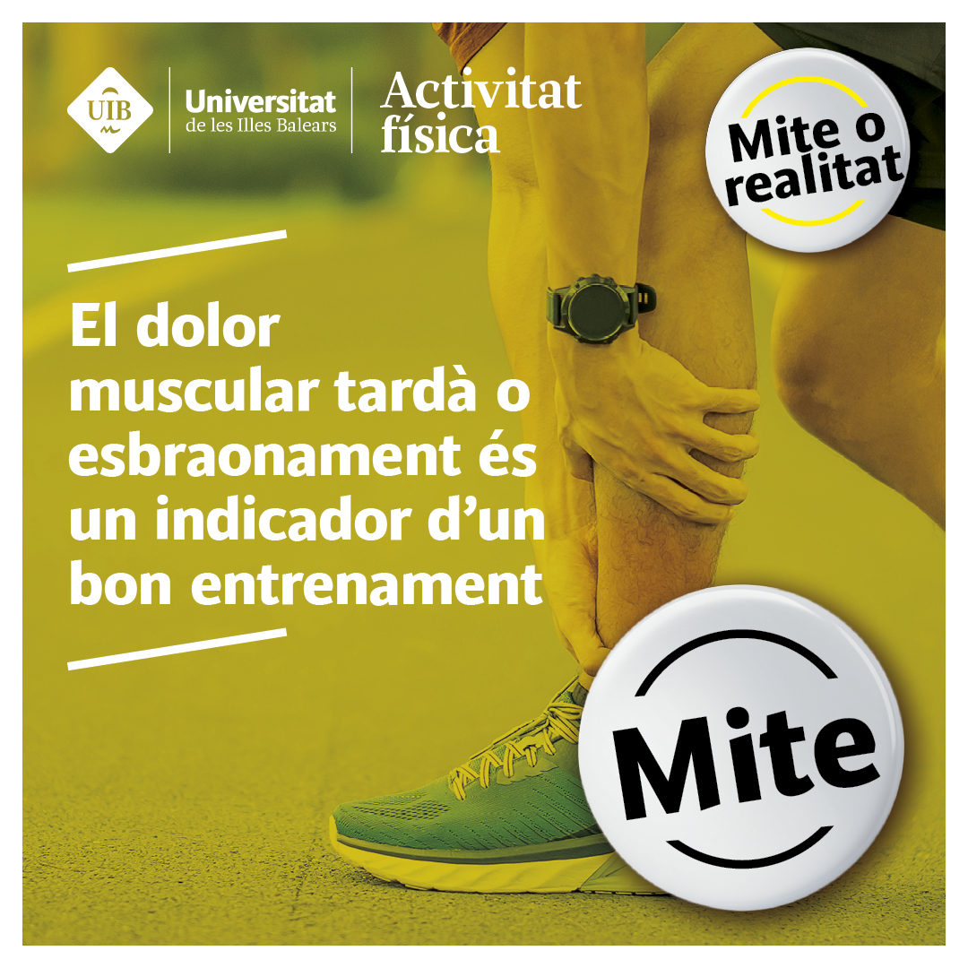 mite 4