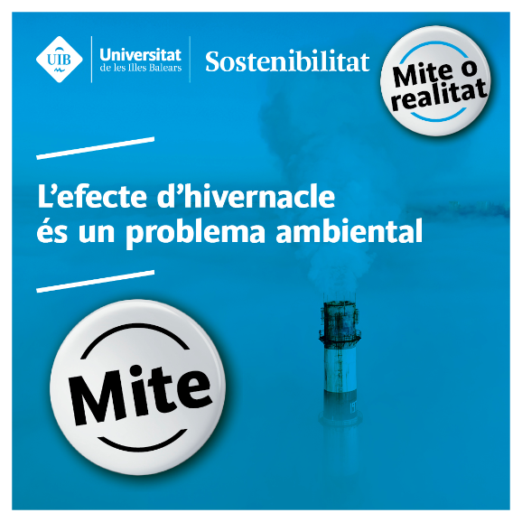 mite