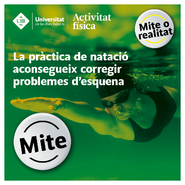 mite 7