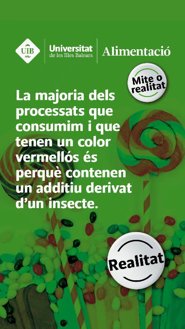 Mite 7