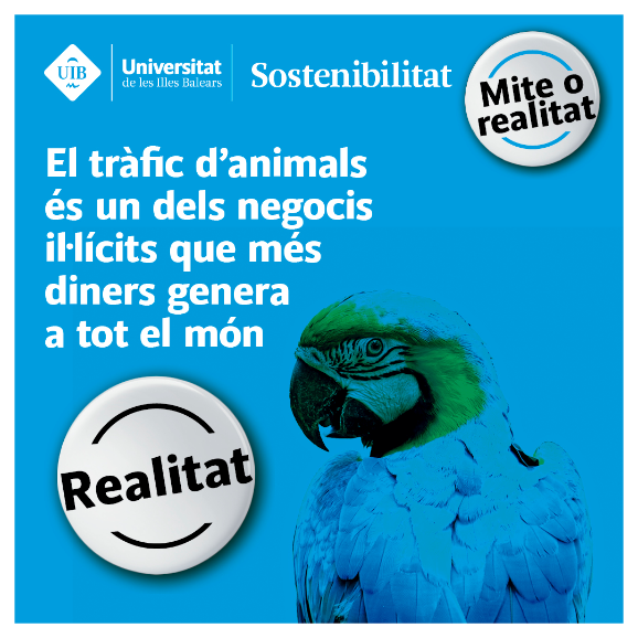 El tràfic d'animals és un dels negocis il·lícits que més diners genera a tot el món