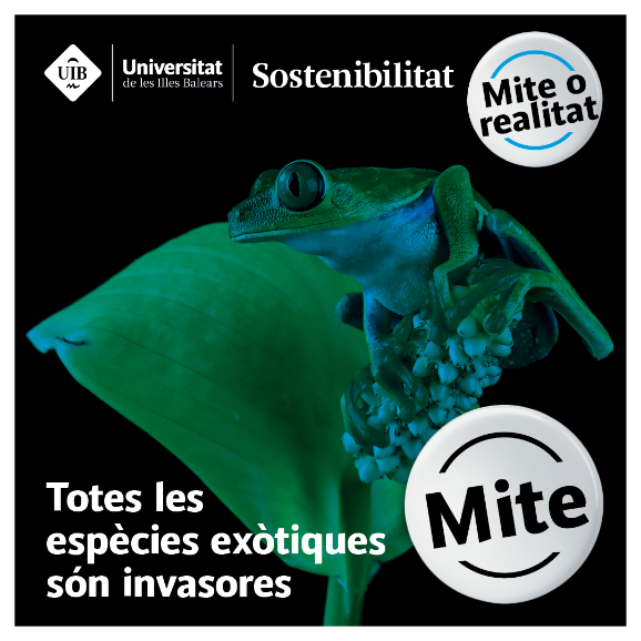 Totes les espècies exòtiques són invasores (mite)