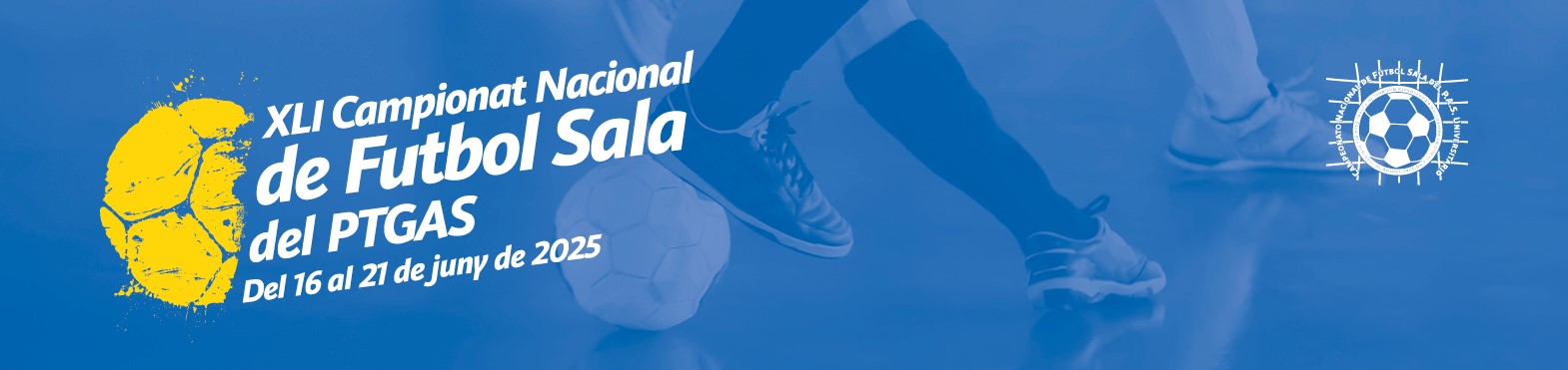 Informació del campionat